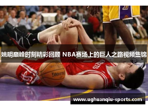 姚明巅峰时刻精彩回顾 NBA赛场上的巨人之路视频集锦